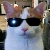 felonious machiavellian (@feeldabreeze13) 's Twitter Profile Photo felonious machiavellian (@feeldabreeze13) 's Twitter Profile Photo