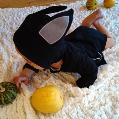 koropokkoさんのプロフィール画像