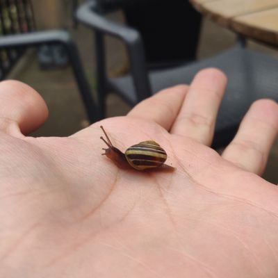 AISTKCW's profile picture. Eat figs, break chains.

Welcome to my X account, just an aspiring writer, who doesn't write.