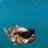 03ttb's profile image