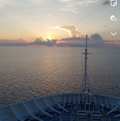 Collins_Tav's profile picture. 