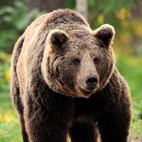 El Padriño (@thewitmaster) 's Twitter Profile