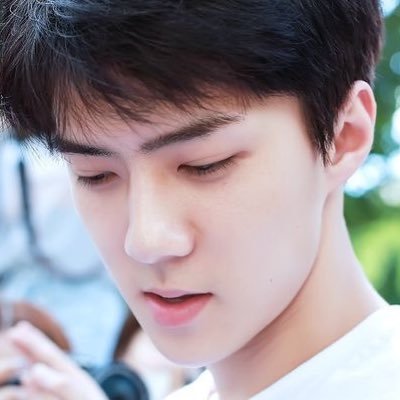 lilsehunnie Profile Picture