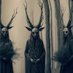 ᖭི𖤓ᖫྀшїтcнᖭི𖤓ᖫྀ🅱️ (@thewitch66613) Twitter profile photo ᖭི𖤓ᖫྀшїтcнᖭི𖤓ᖫྀ🅱️ (@thewitch66613) Twitter profile photo