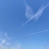 sumioigawa (@sumigoroo33) 's Twitter Profile