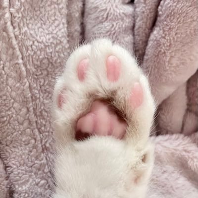 Vivian_TranN's profile picture. hi