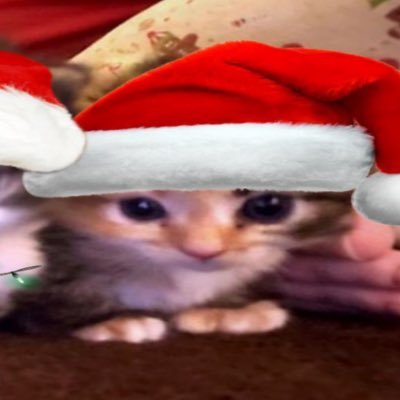 Tomoya564's profile picture. せらMASCHINE