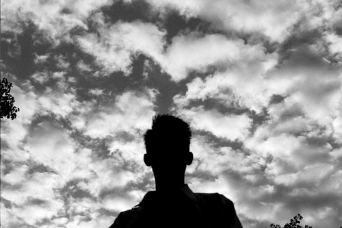 Author/Director/Voice Actor - 