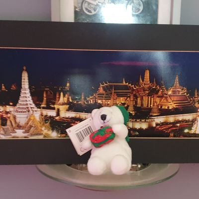 Steveheron12's profile picture. Yes  and love to lick pussy out for hours and hours and love the taste pussy and l love  squirter  too l would  like  to  hook up with  sum one  for this