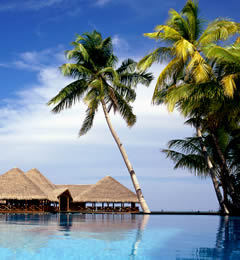 ambonwaai's profile picture. 