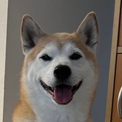 Komusoraさんのプロフィール画像