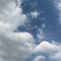 Y (@cxlojm) 's Twitter Profile