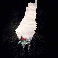 7/10🔻MR.X 🇵🇸𓂆 (@mohamedabdou74) 's Twitter Profile