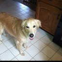 Belle B - @BelleBarrett1 - Twitter