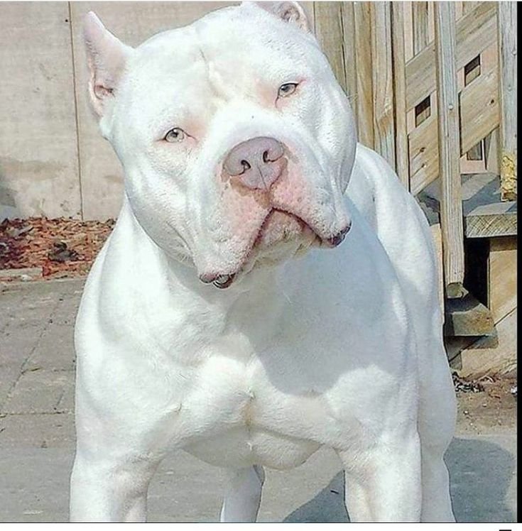 gameover3182502's profile picture. ???? Fortune favors the bold.