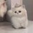 rere__rechan_