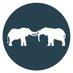 Save the Elephants (@ste_kenya) Twitter profile photo