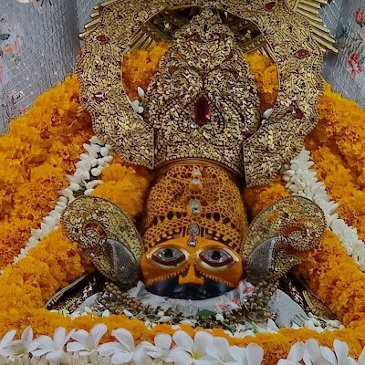 ShreeRj14141763's profile picture. 