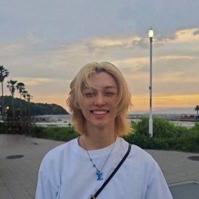 voldemie's profile picture. #StrayKids x #ATEEZ x #SEVENTEEN enthusiasts isfp