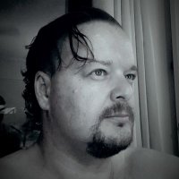 Pieter (@kievitpieter) 's Twitter Profile