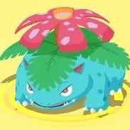 もーいお茶@ポケモンスリープ (@gfr9w2ymwj51893) 's Twitter Profile