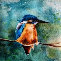 daffini (@daffiniprabin) 's Twitter Profile