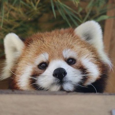 https://t.co/u5HxcQJlaL