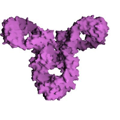 Hablo de ciencia, del SARS-COV-2 y de Long Covid. Me encantan los hilos largos, casi kilométricos. Todo lo que digo son mis opiniones. Respeto ante todo