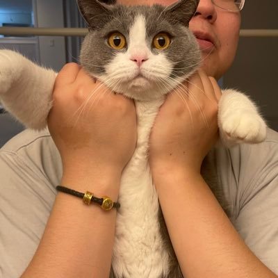 I scale LLM training at ByteDance | Prev. @uwcse, Intern @Google, @AWS | Dog, cat and opinions are my own