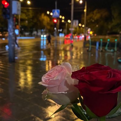 Be a nice person😊
استغفرالله العظيم واتوب اليه ♥️
https://t.co/u6FtkRdK2X