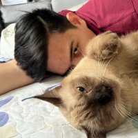 The Hallowed Lykan (@orcustmetaphys) 's Twitter Profile