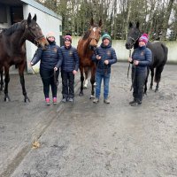 Clonbonny Stud (@clonbonnystud) 's Twitter Profile
