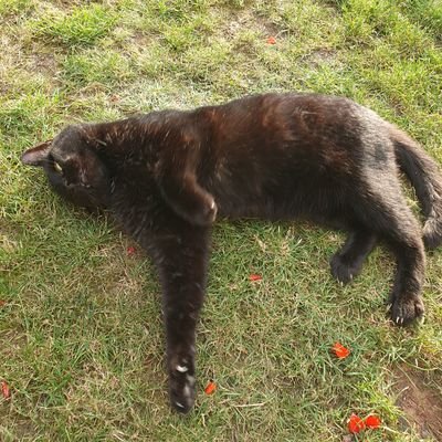 MikeDavies71's profile picture. 