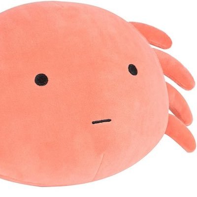 까나さんのプロフィール画像