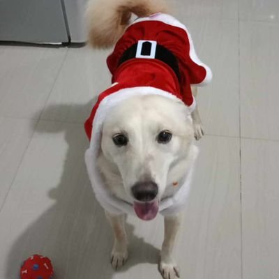 jiancenn's profile picture. SKYE 💗