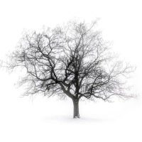 Niente di Niente! (@n_i_e_n_t_e) 's Twitter Profile Photo Niente di Niente! (@n_i_e_n_t_e) 's Twitter Profile Photo