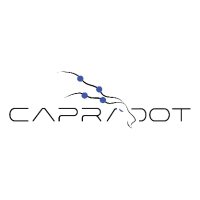 Capra Dot(@CapraDott) 's Twitter Profile Photo