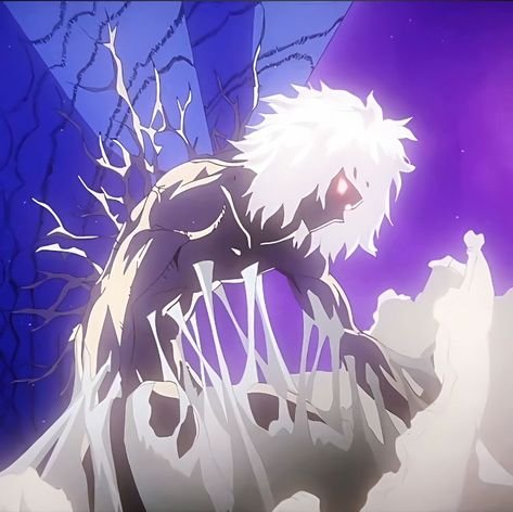 netav165035's profile picture. 