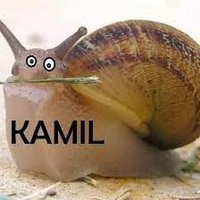 Kamil Ślimak (@kamil_slimak3) 's Twitter Profile