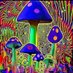 psychedelic store (@ricktripstore) Twitter profile photo