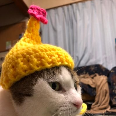 えぬ子さんのプロフィール画像
