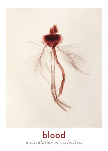 EleanorFarmer's profile picture. 