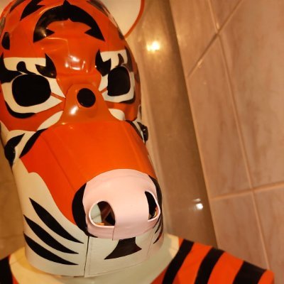 He/Him 

20Y/ 🇩🇪

Furry, latex Tiger , 🍃