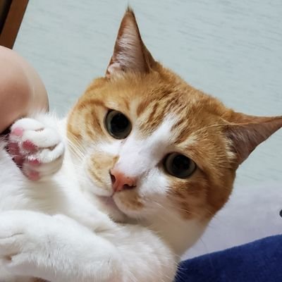 おいのすけさんのプロフィール画像