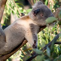 chikuwa@阿修羅流　座右の銘は「全てmind 亅 (@ossanganball) Twitter profile photo