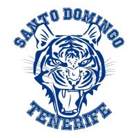 Club Santo Domingo Tenerife (@csd_basket) 's Twitter Profile