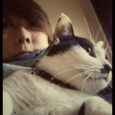 moritokodomotto's profile picture. 💕猫/森/音楽/民藝/旅/郷土料理/弁当/編物/Blue Hawks/ナゴヤ座/演劇組織KIMYO/石拾い/佐野元春/七尾旅人/ハシケン/マーチング
🌿森林インストラクター/自然観察指導員/自然再生士