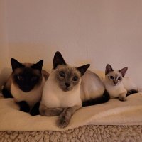 Kleks (@kleks3320) 's Twitter Profile Photo