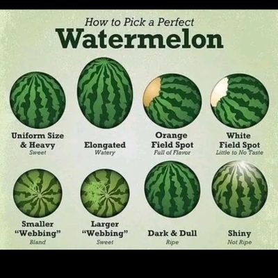 isiakatunde8's profile picture. Nice shot QEUNPVM6 | 𝔽rAI. $CC
https://t.co/GeyWjg4xvV