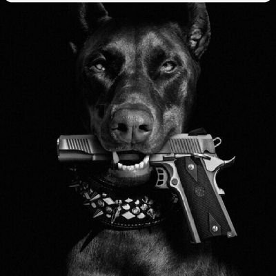 baroswinger's profile picture. 